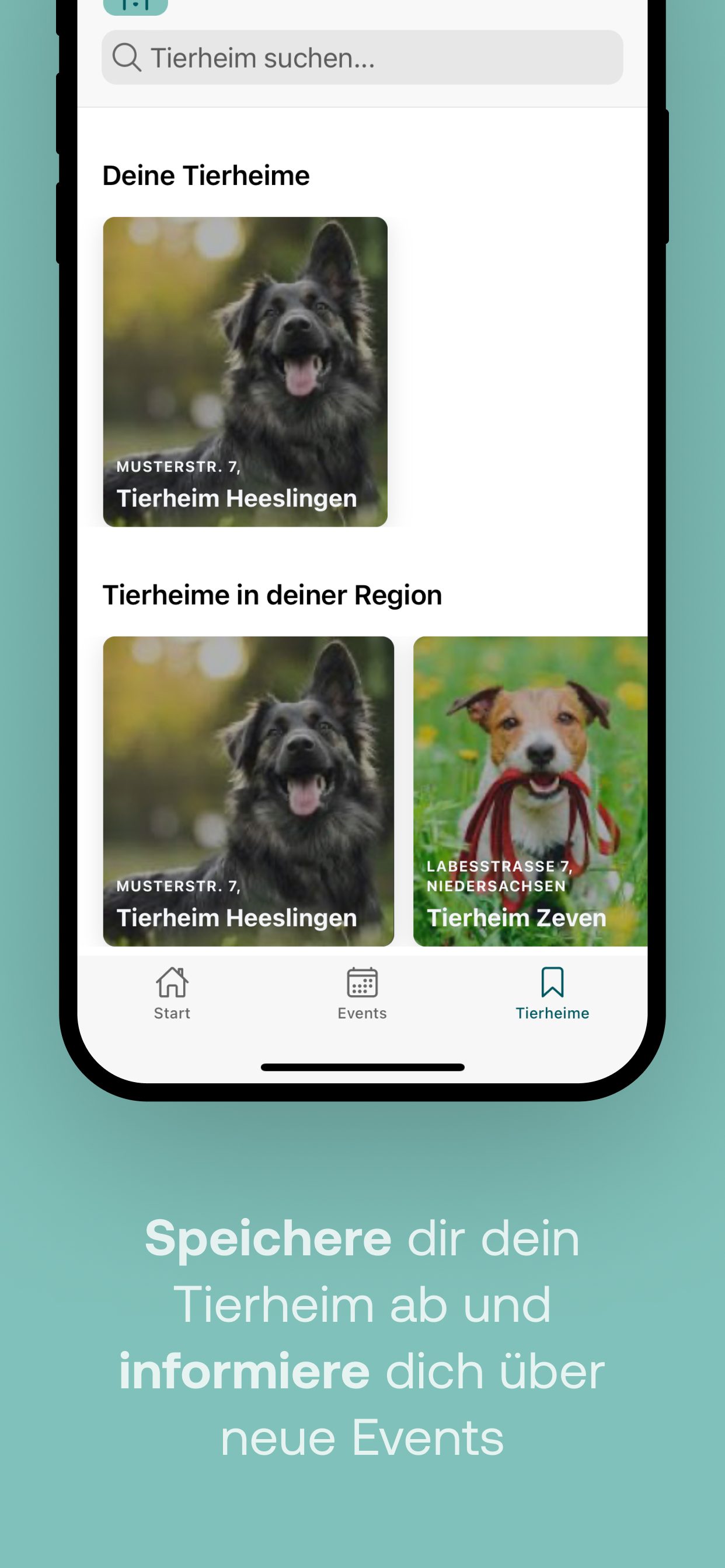 WauzMiau App